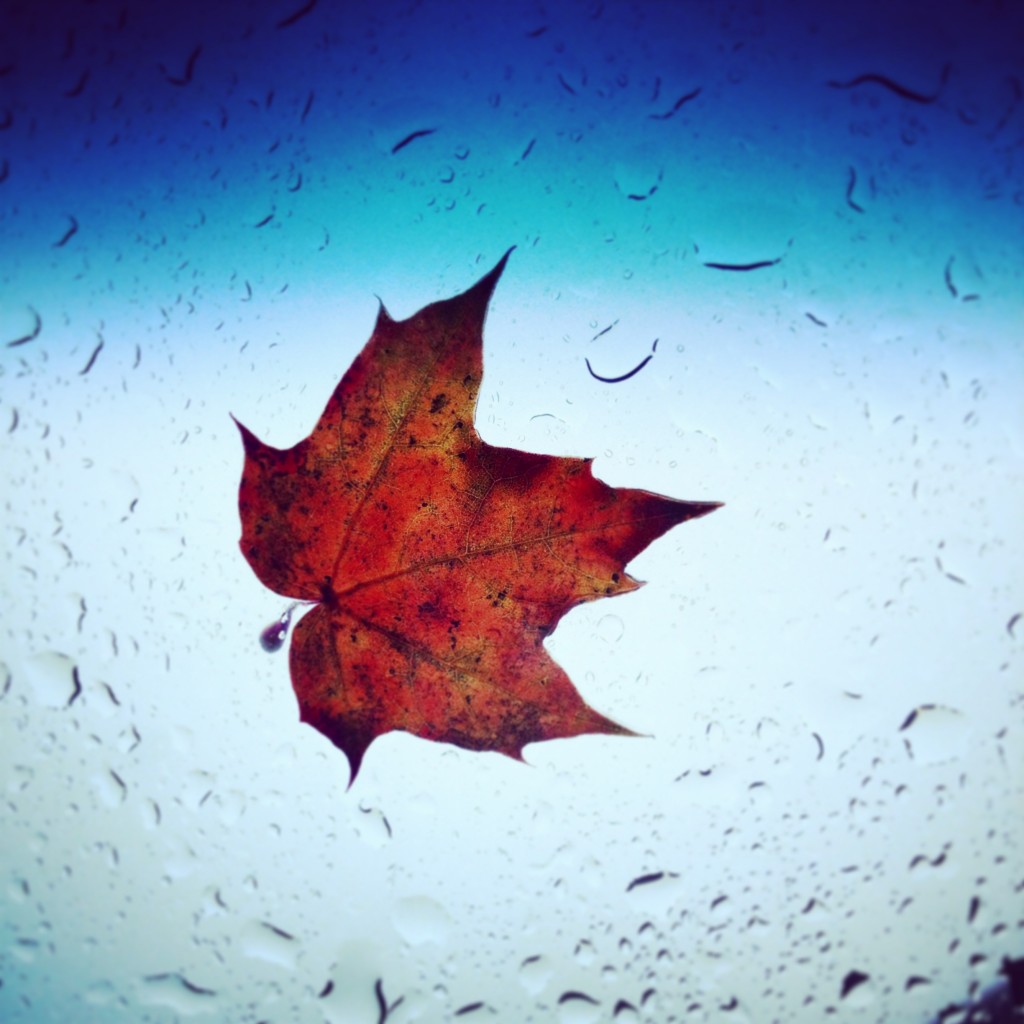Autumn