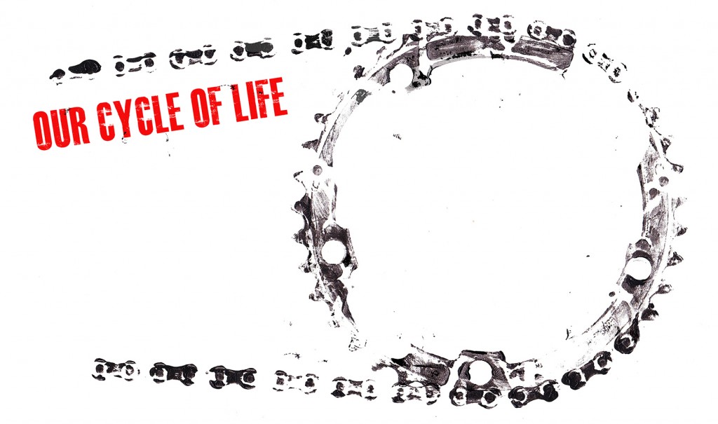 our cycle of life